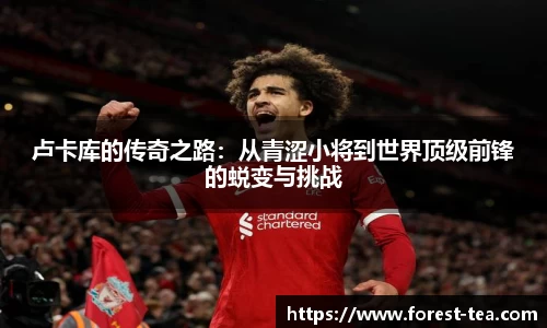 卢卡库的传奇之路：从青涩小将到世界顶级前锋的蜕变与挑战