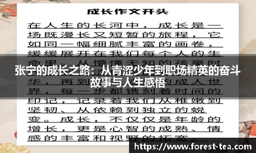 张宁的成长之路：从青涩少年到职场精英的奋斗故事与人生感悟