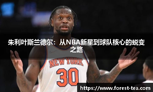 朱利叶斯兰德尔：从NBA新星到球队核心的蜕变之路