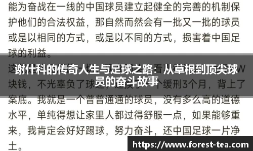谢什科的传奇人生与足球之路：从草根到顶尖球员的奋斗故事