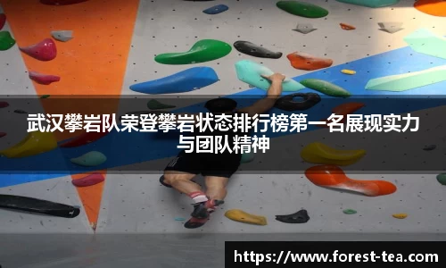 百事2娱乐